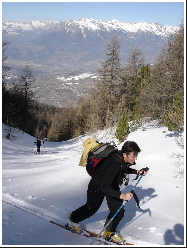 Cliquer pour voir l'image originale