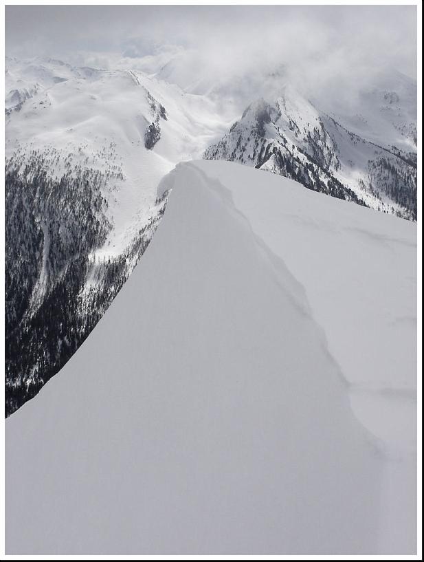 Cliquer pour voir l'image originale