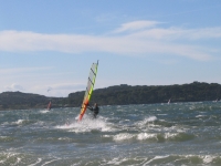 IMG_0761 Joub dans les petites vagues...