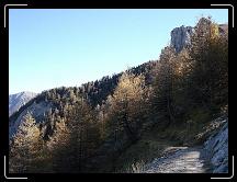 01-11-2007 12:46:26 - Du col de Charance