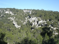 DSC03728 Le bas du vallon du Diable bien bois.