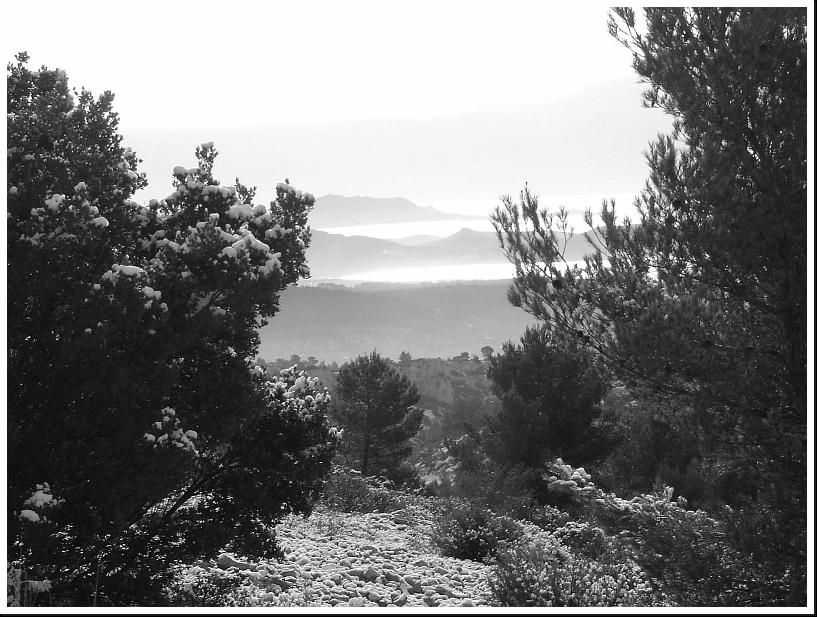 Cliquer pour voir l'image originale