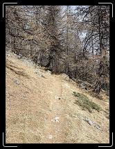 19-11-2007 11:02:13 - Le sentier continue, sec par endroits...